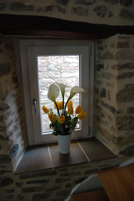 Emily House Hotel Montecerboli Bagian luar foto