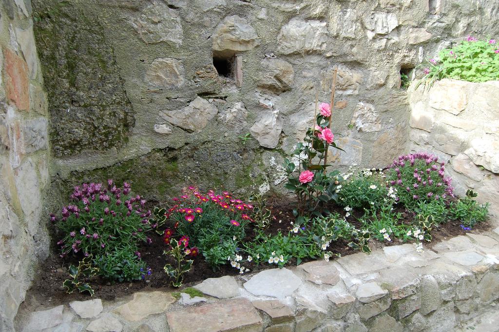 Emily House Hotel Montecerboli Bagian luar foto